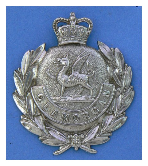 Glamorgan Constabulary QC Cap Badge (Ref: 803)