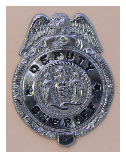 New Jersey Deputy Sheriff cap badge (R712)